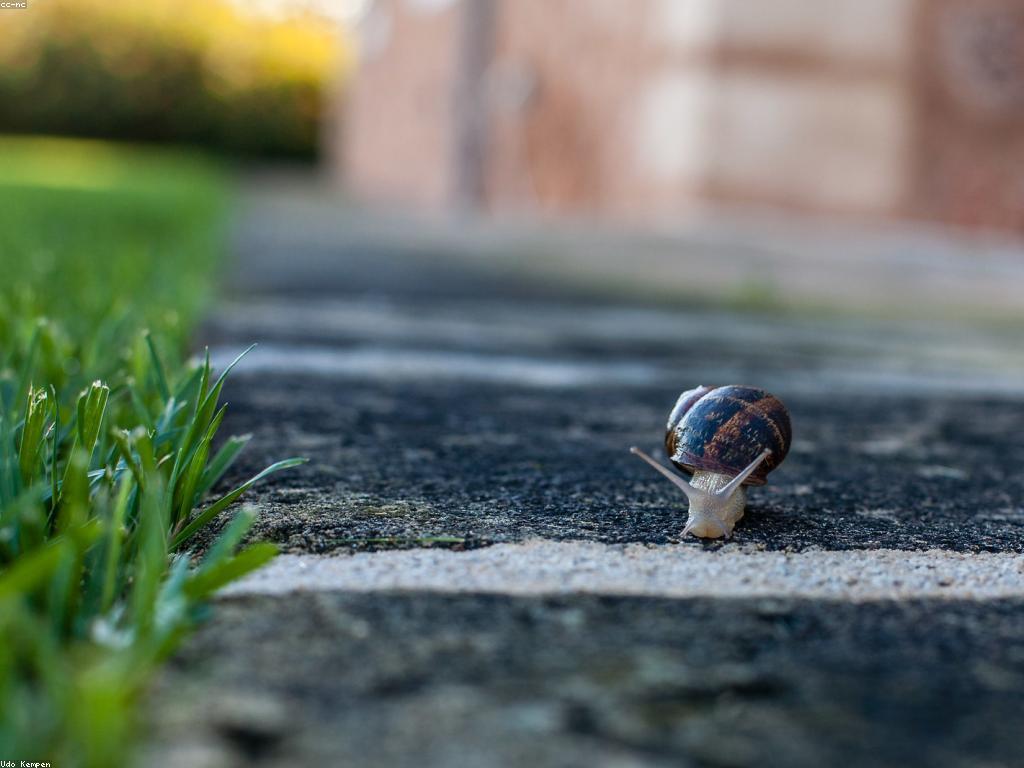 ប្រាក់រង្វាន់និងអត្ថប្រយោជន៍របស់វា