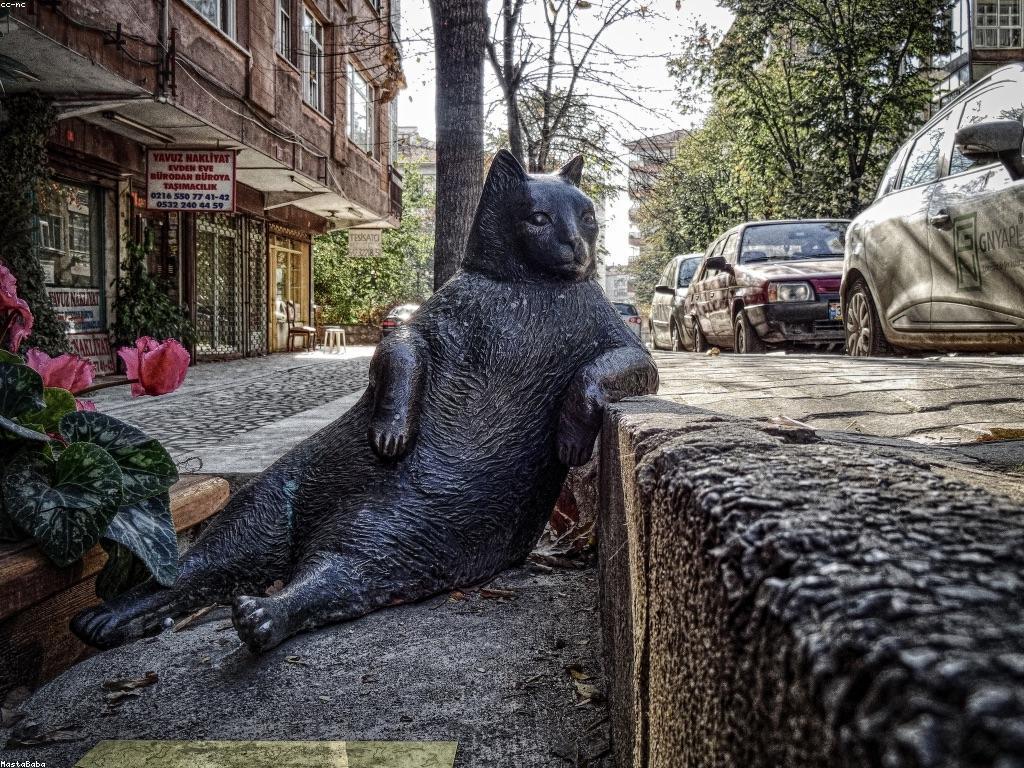 ប្រភេទនៃប្រាក់រង្វាន់